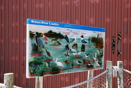 texas shorebird sign