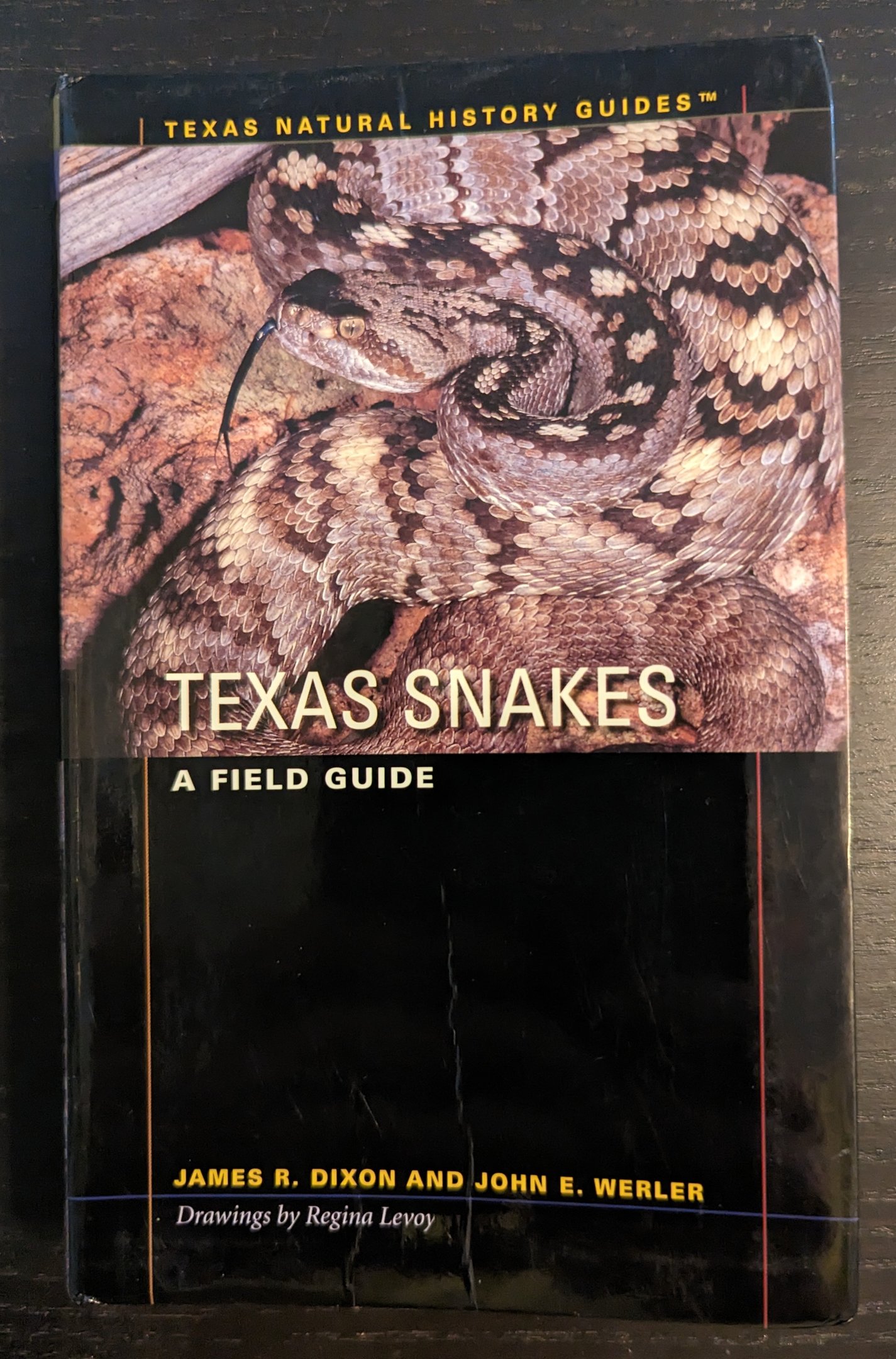 Texas Snakes: A Field Guide