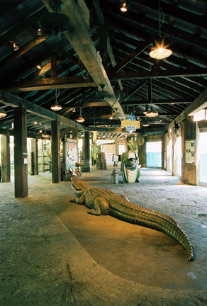 Texas swamps viewing area