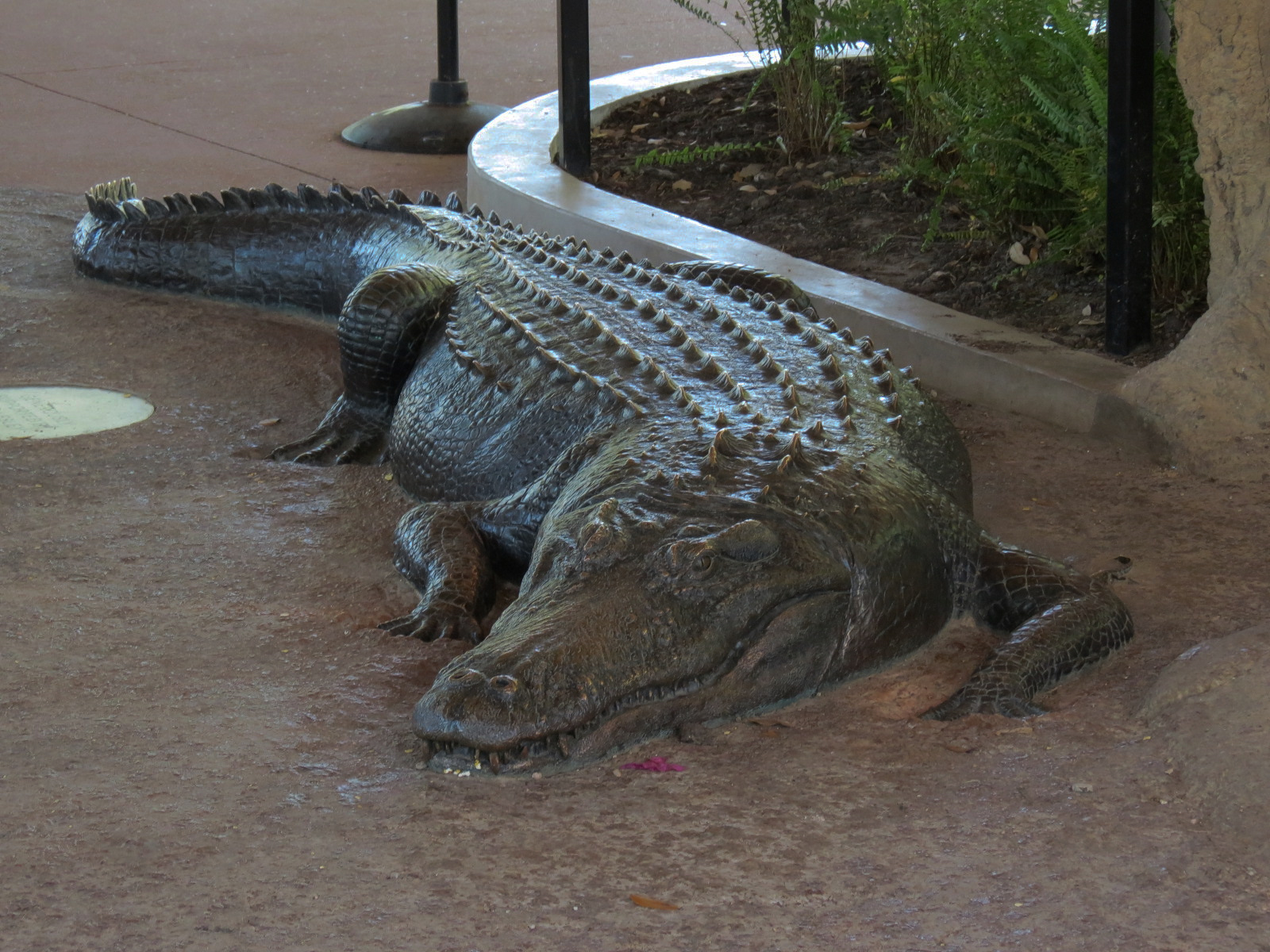 Texas Wetlands - American Alligator Exhibit - Viewing Shelter - Alligator Sulpture