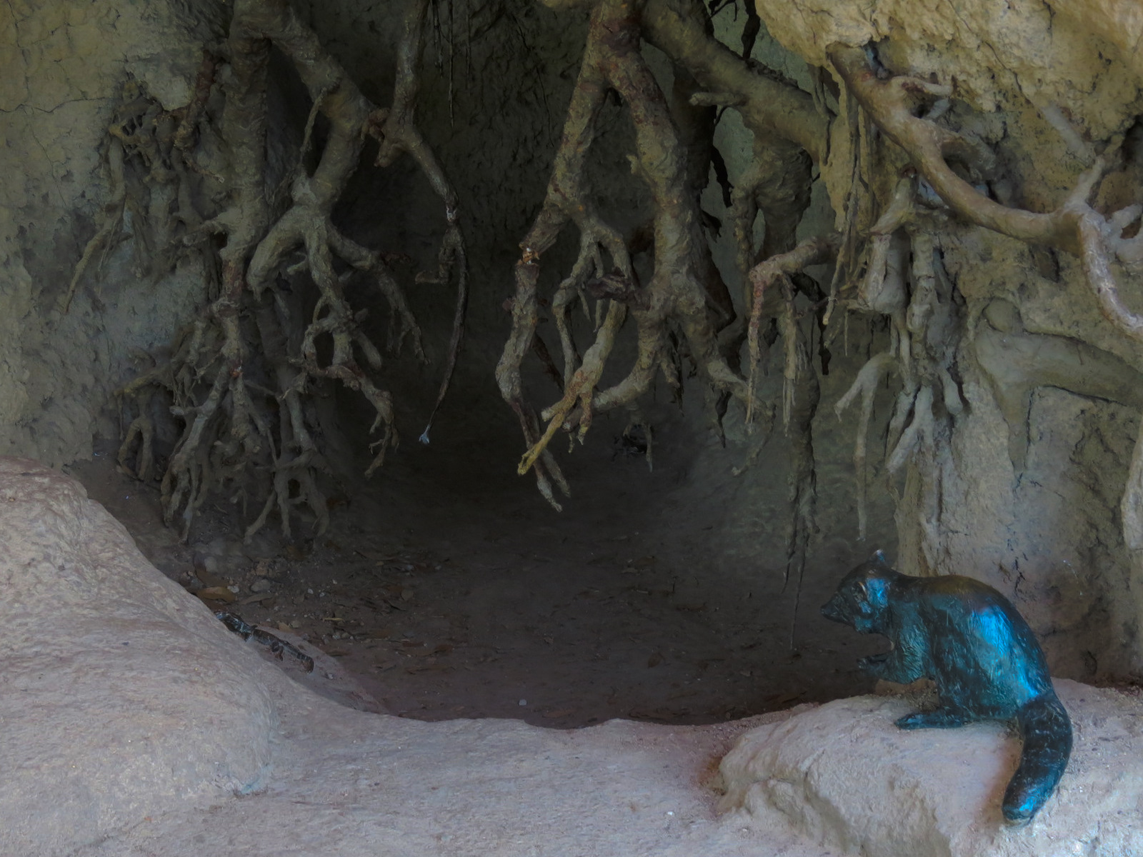 Texas Wetlands - American Alligator Exhibit - Viewing Shelter Detail