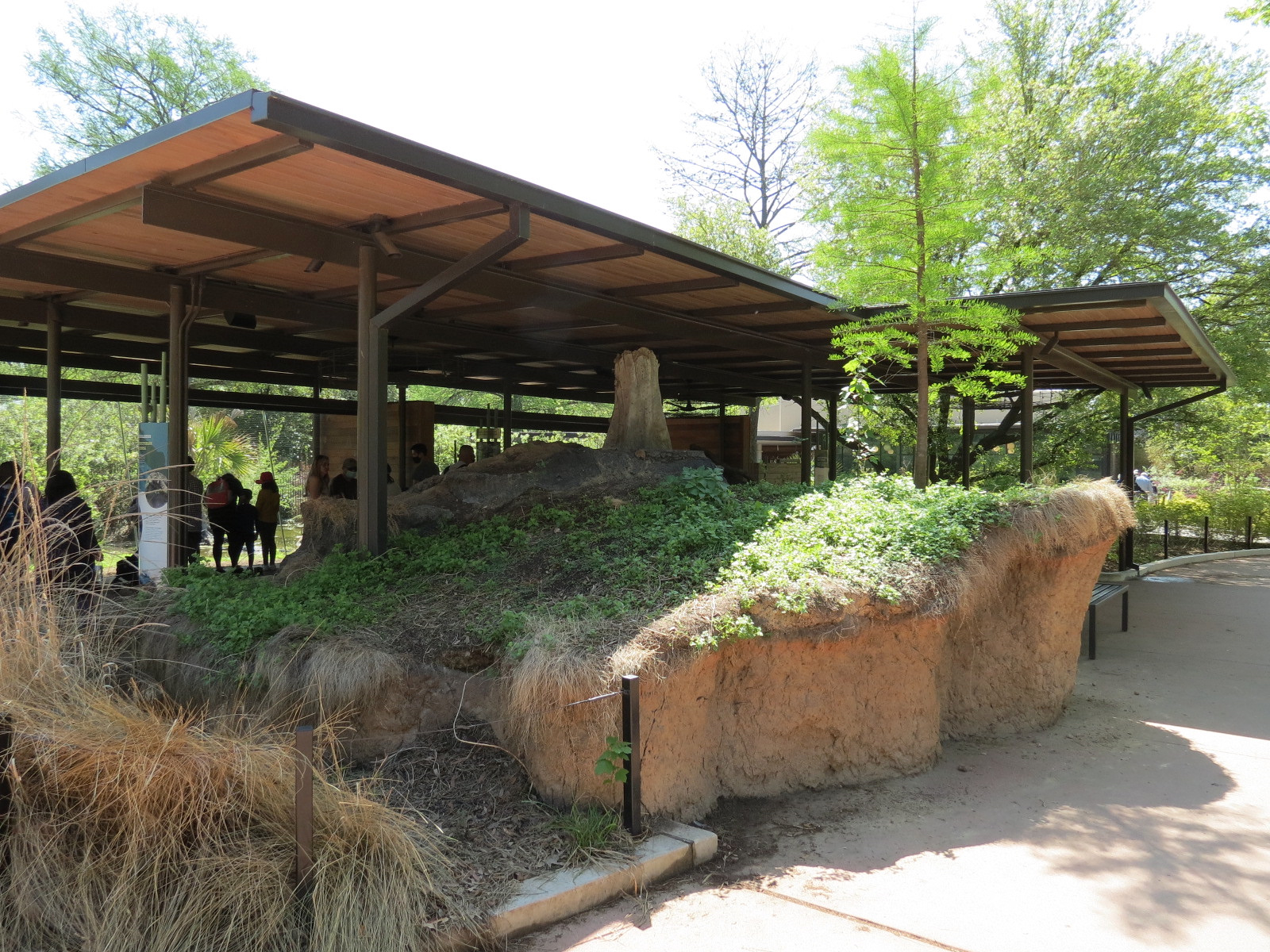 Texas Wetlands - American Alligator Exhibit - Viewing Shelter