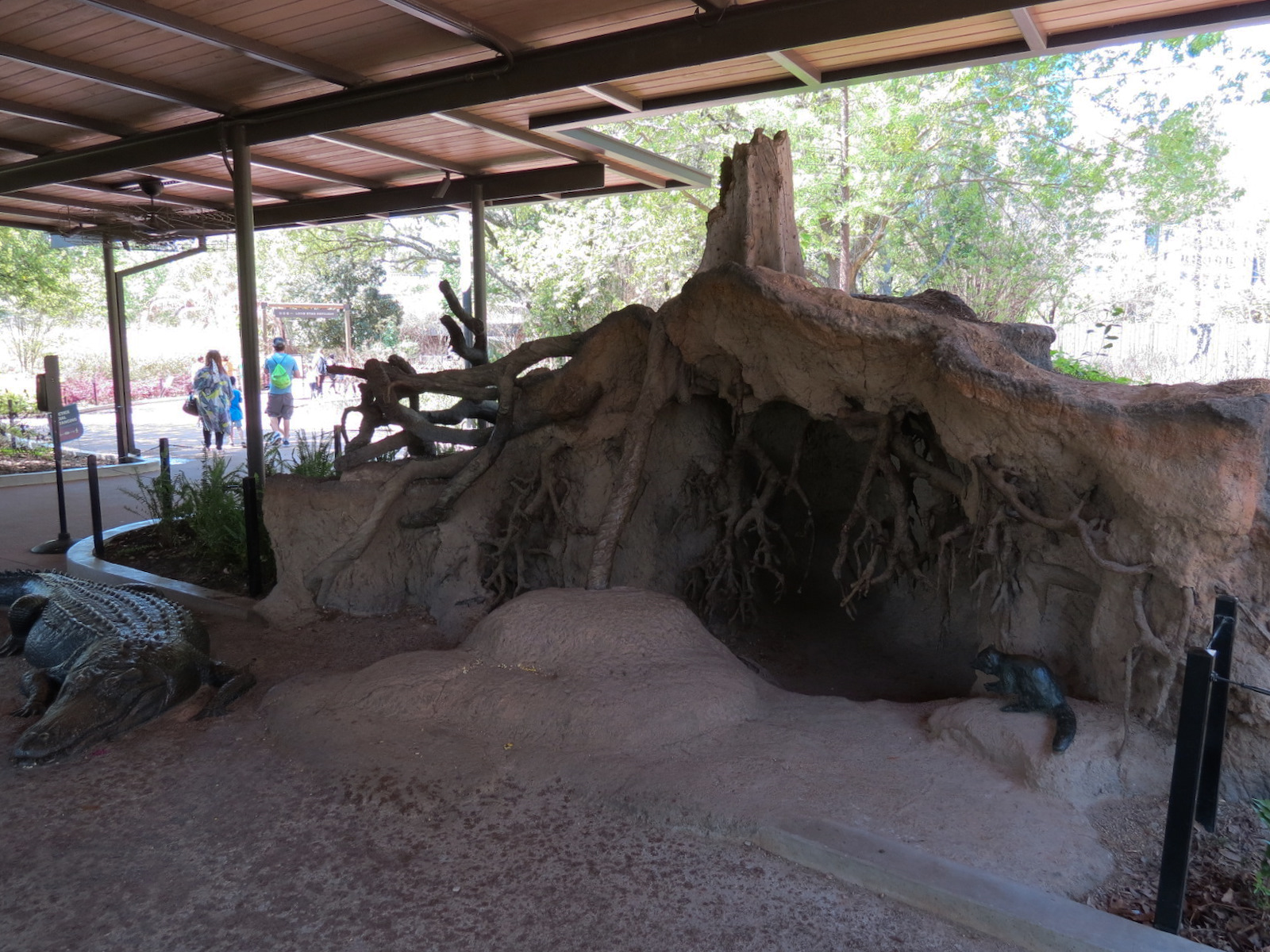 Texas Wetlands - American Alligator Exhibit - Viewing Shelter