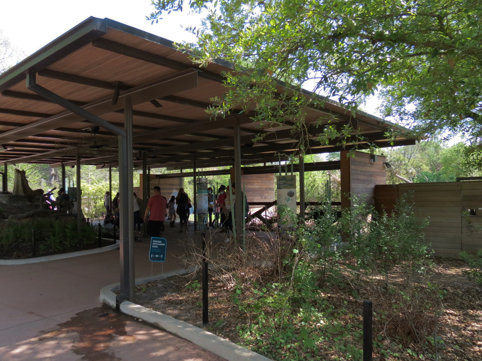 Texas Wetlands - American Alligator Exhibit - Viewing Shelter