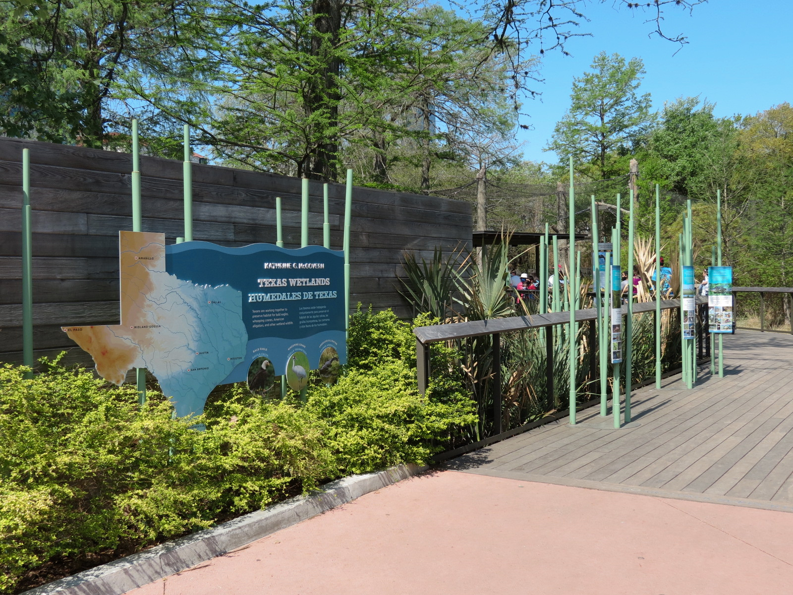 Texas Wetlands - Entry