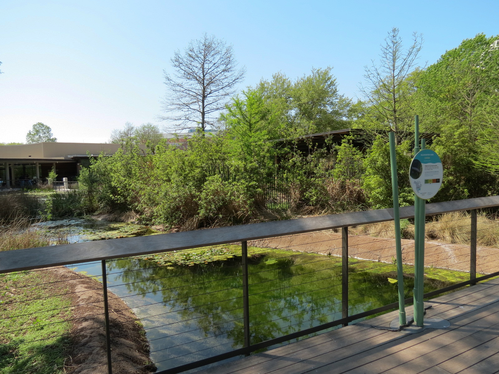 Texas Wetlands - Lake with Alligator Gar - Viewing Area