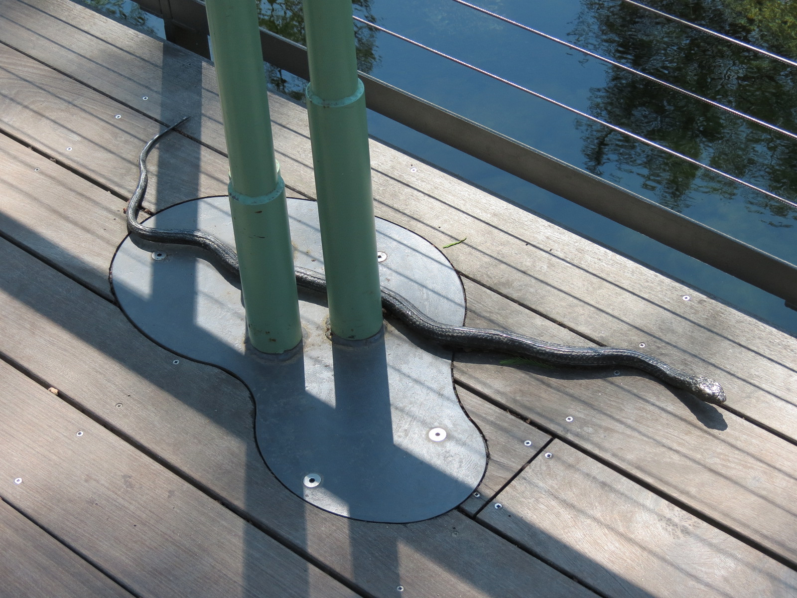 Texas Wetlands - Snake Sculpture at Base of Sign
