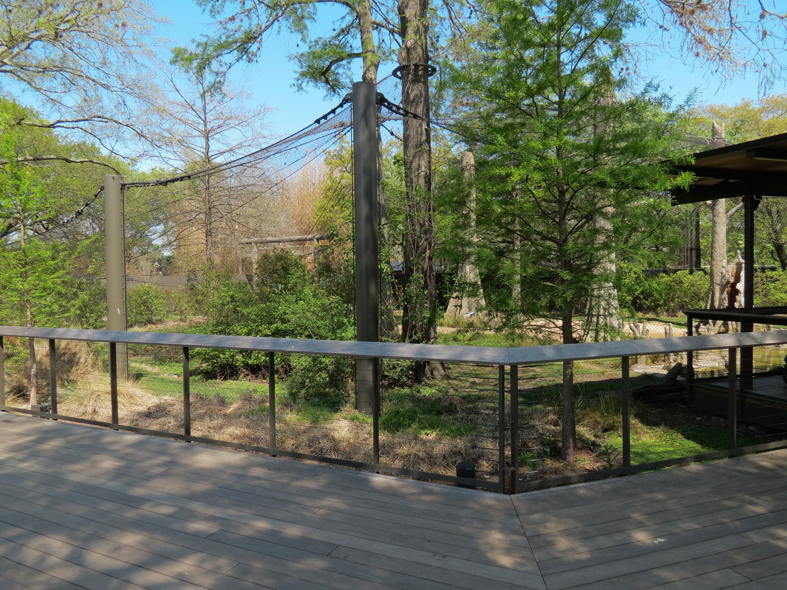 Texas Wetlands - Whooping Crane Exhibit - Viewing Area