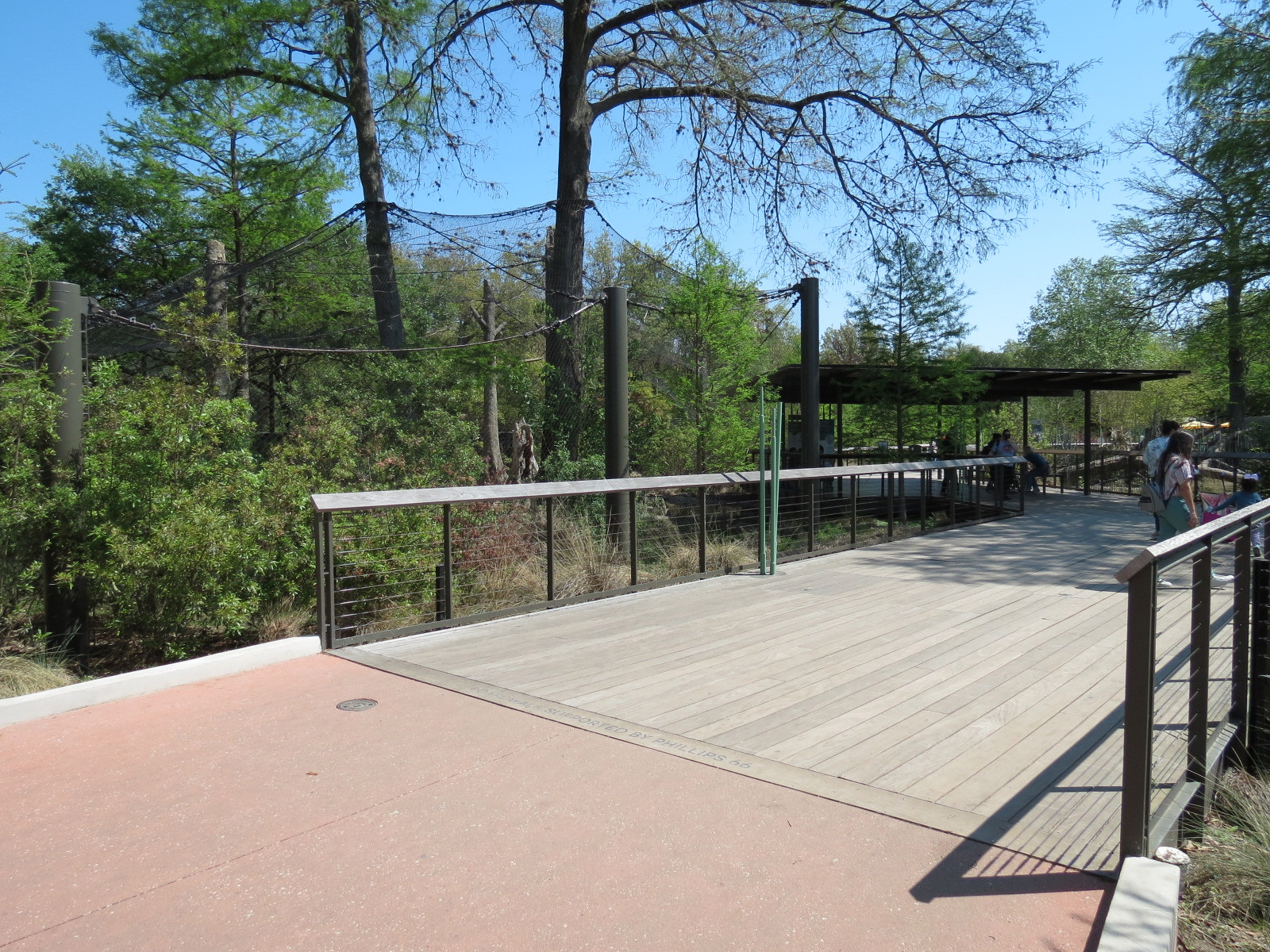 Texas Wetlands - Whooping Crane Exhibit - Viewing Area