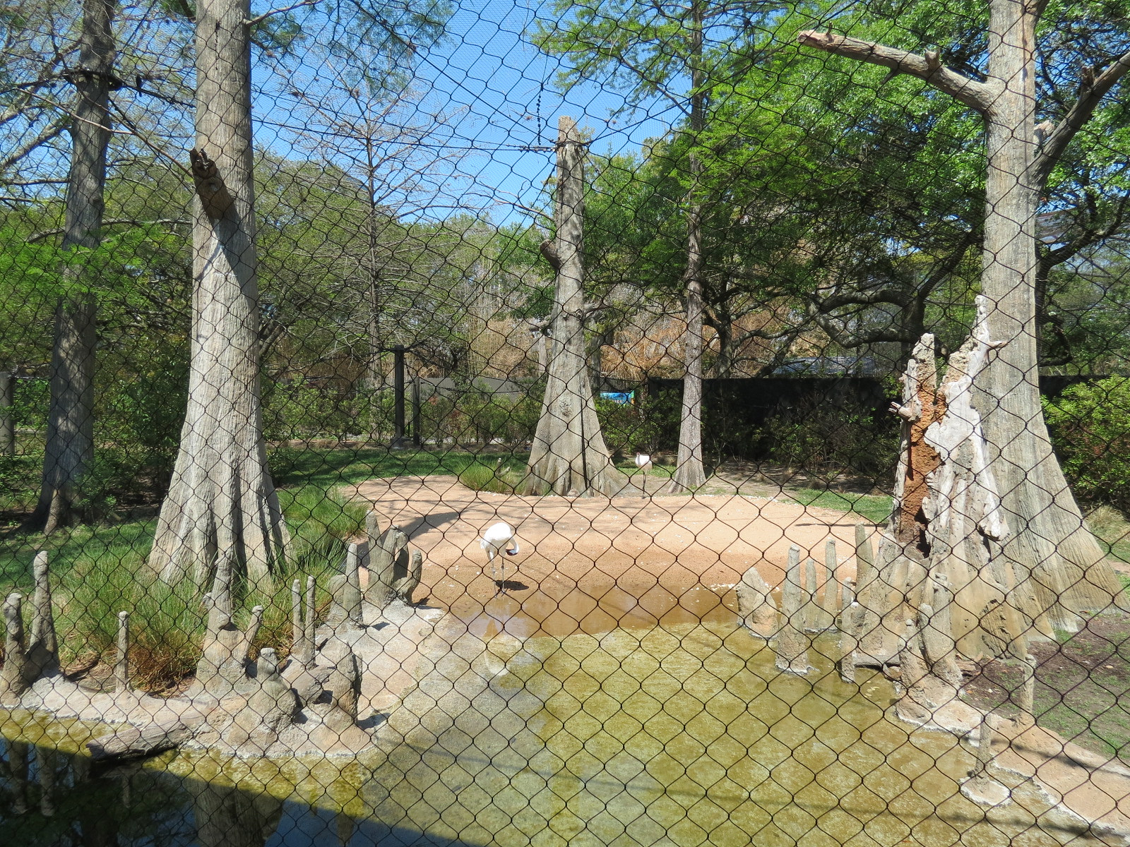 Texas Wetlands - Whooping Crane Exhibit