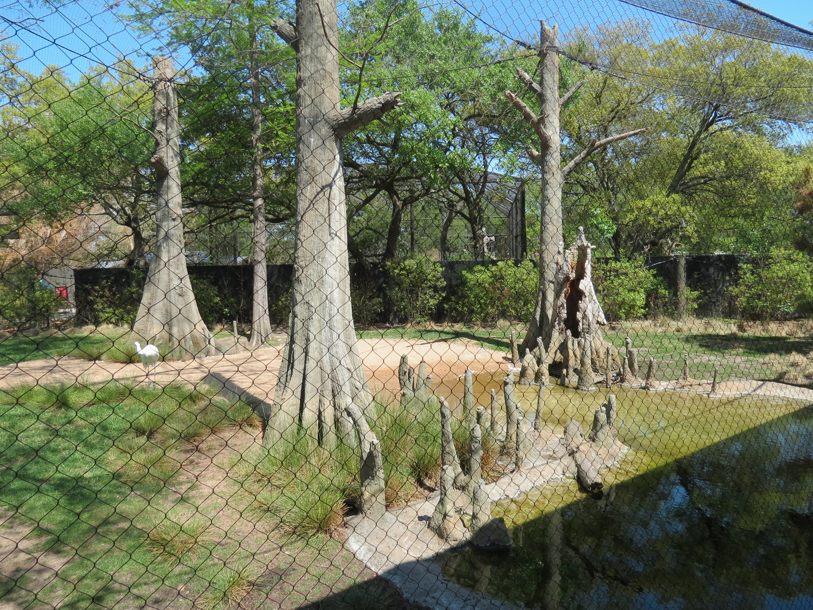 Texas Wetlands - Whooping Crane Exhibit