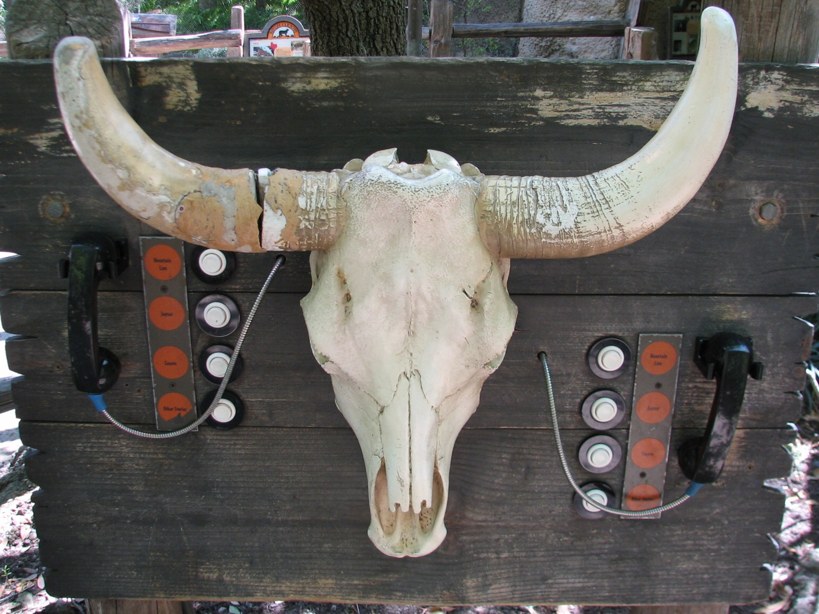 Texas Wild! - Brush Country - Audio Display