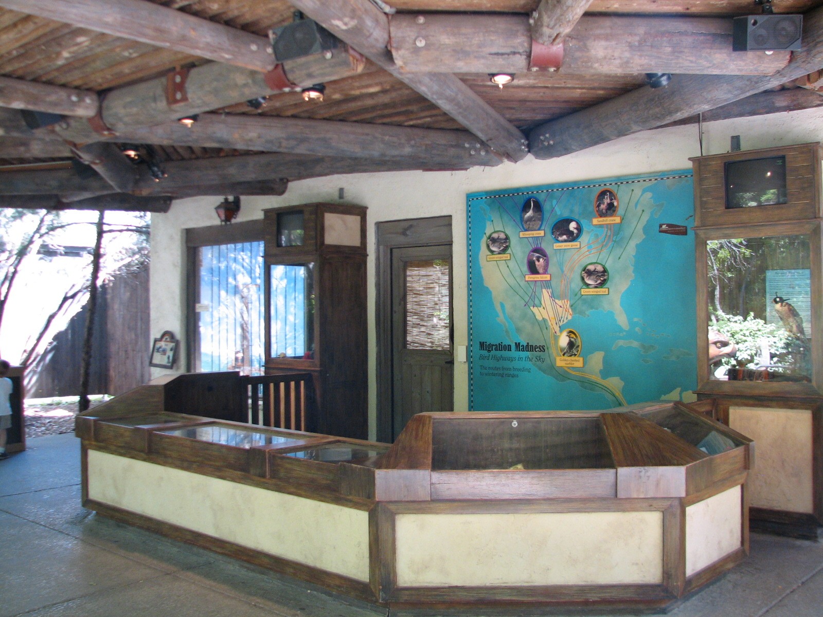 Texas Wild! - Brush Country - Birds of Prey Display Counter