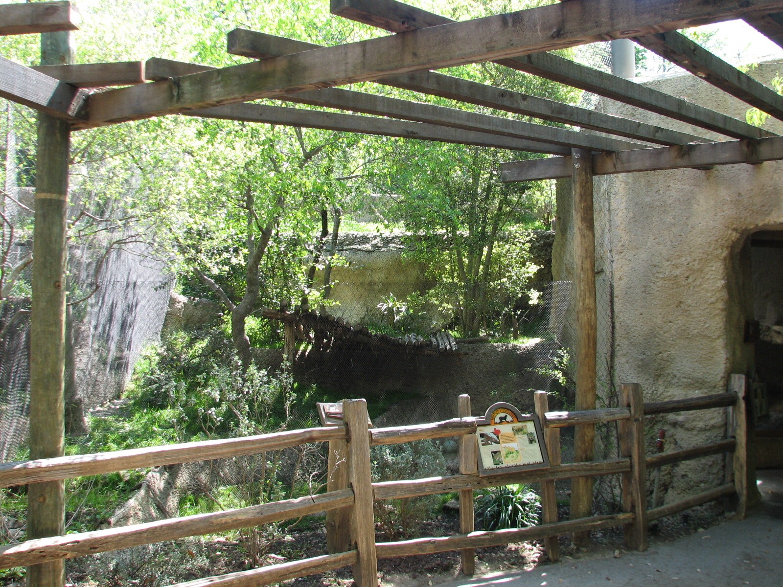 Texas Wild! - Brush Country - Bobcat Exhibit