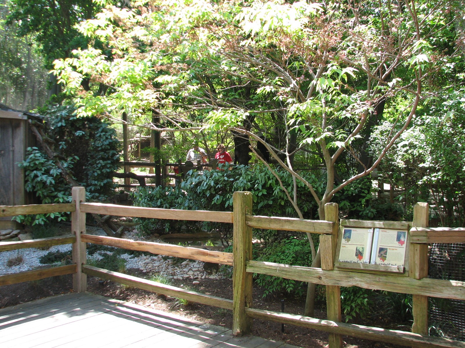 Texas Wild! - Brush Country - Walk-thru Aviary