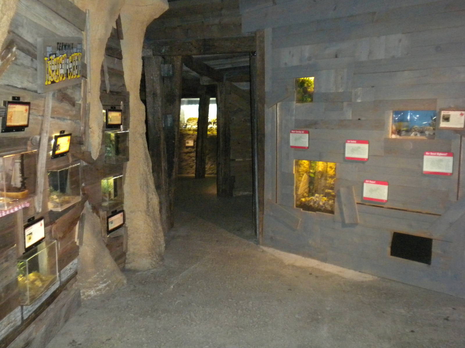 Texas Wild! Bug exhibits