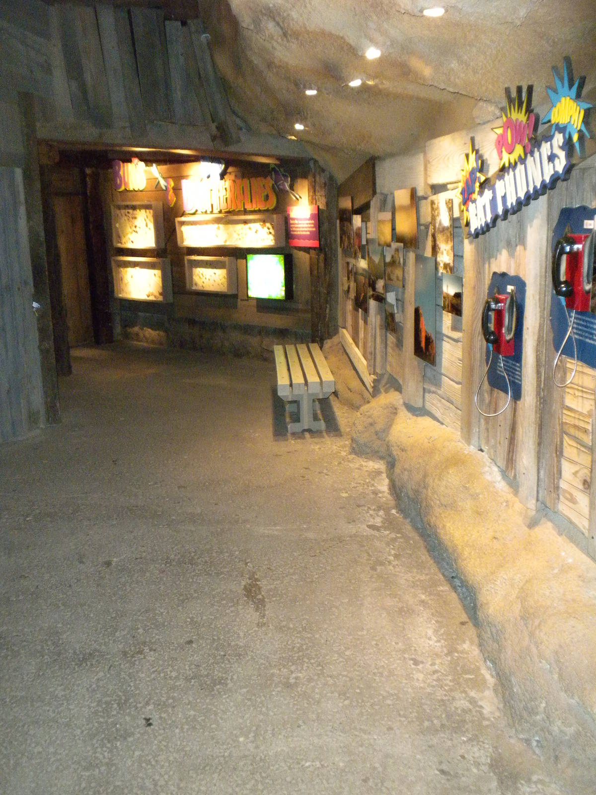 Texas Wild! Bug exhibits