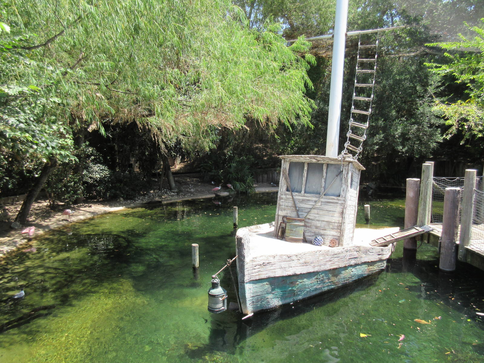 Texas Wild! - Gulf Coast Aviary