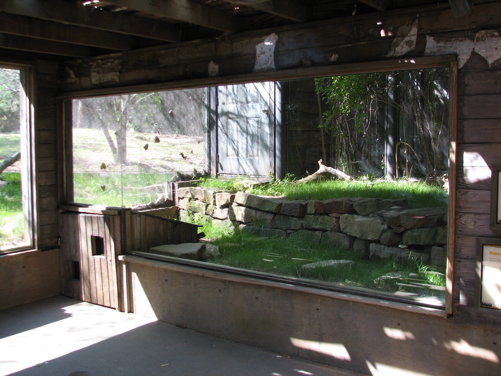 Texas Wild! - High Plains and Prairies - Black-footed Ferret Exhibit