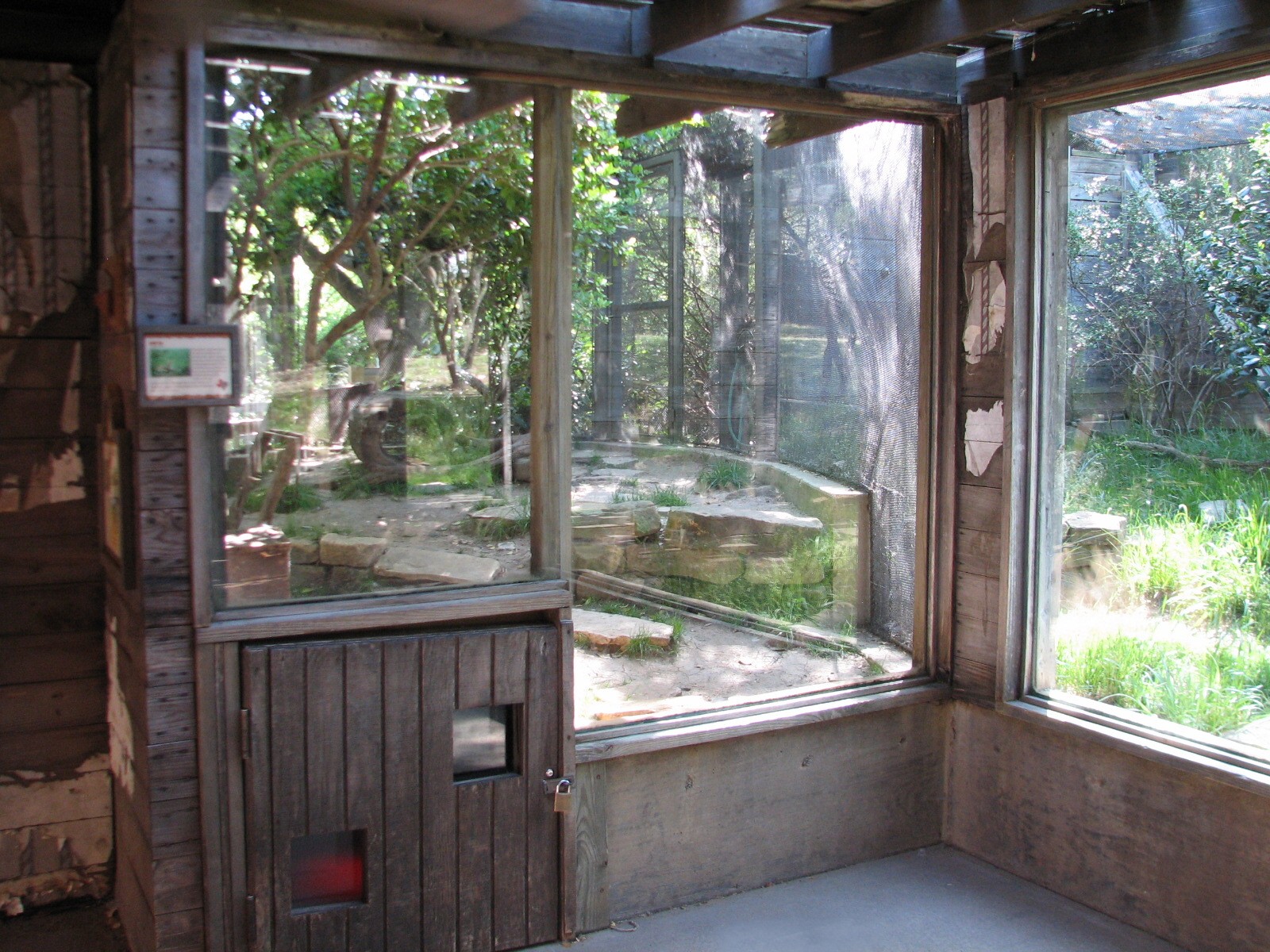 Texas Wild! - High Plains and Prairies - Swift Fox Exhibit