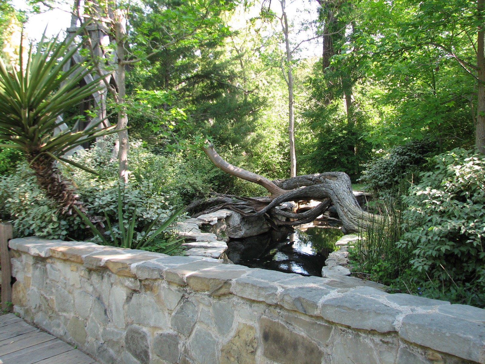 Texas Wild! - Hill Country - Guadalupe Map Turtle and Bass Exhibit