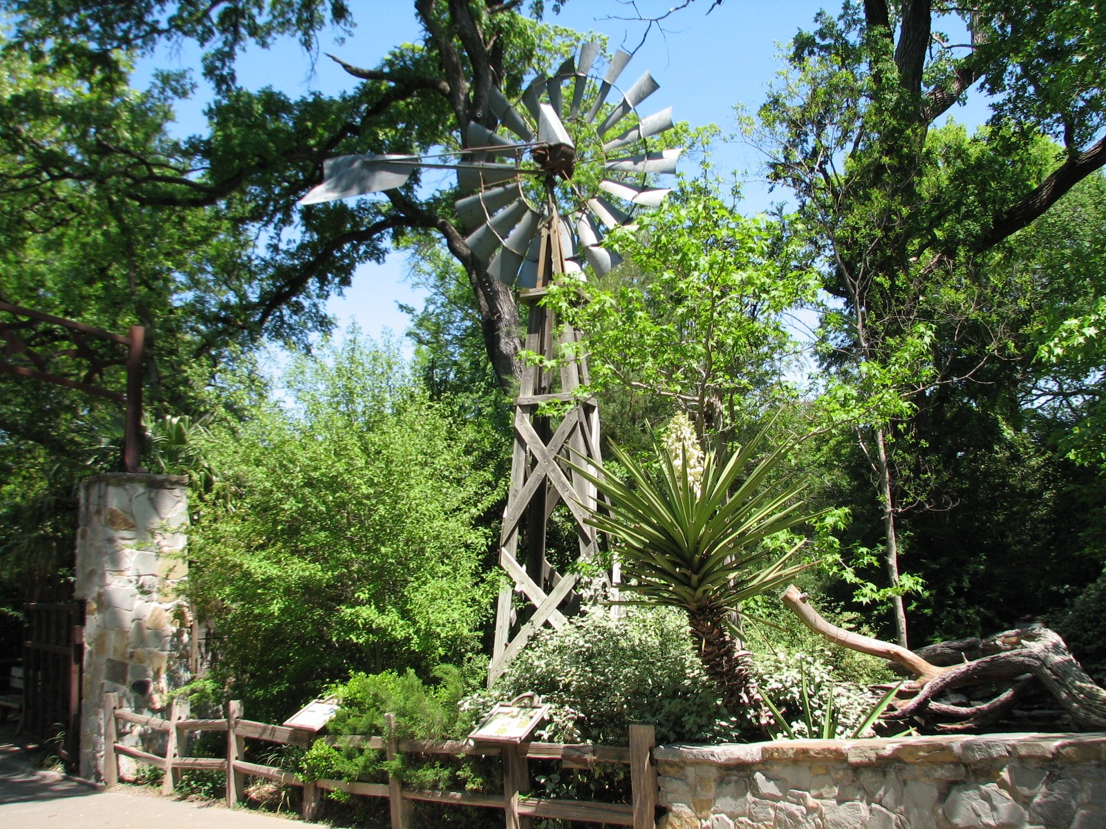 Texas Wild! - Hill Country - Windmill