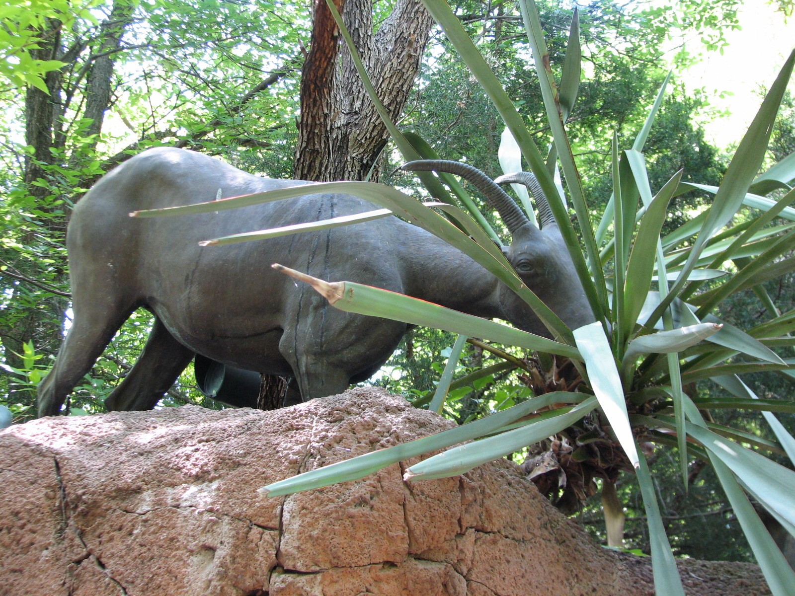 Texas Wild! - Mountains and Desert - Desrt Bighorn Statue