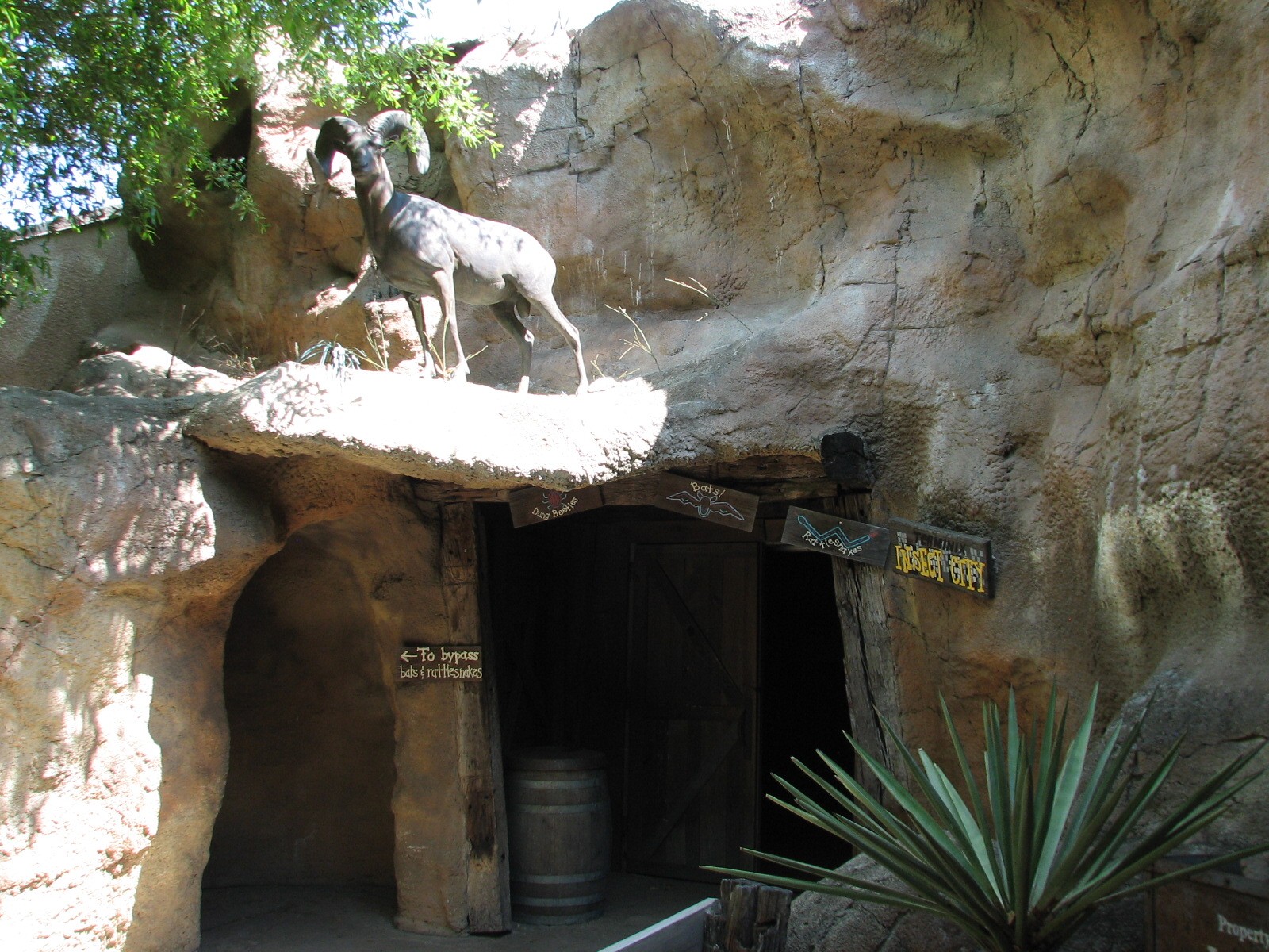 Texas Wild! - Mountains and Desert - Entry