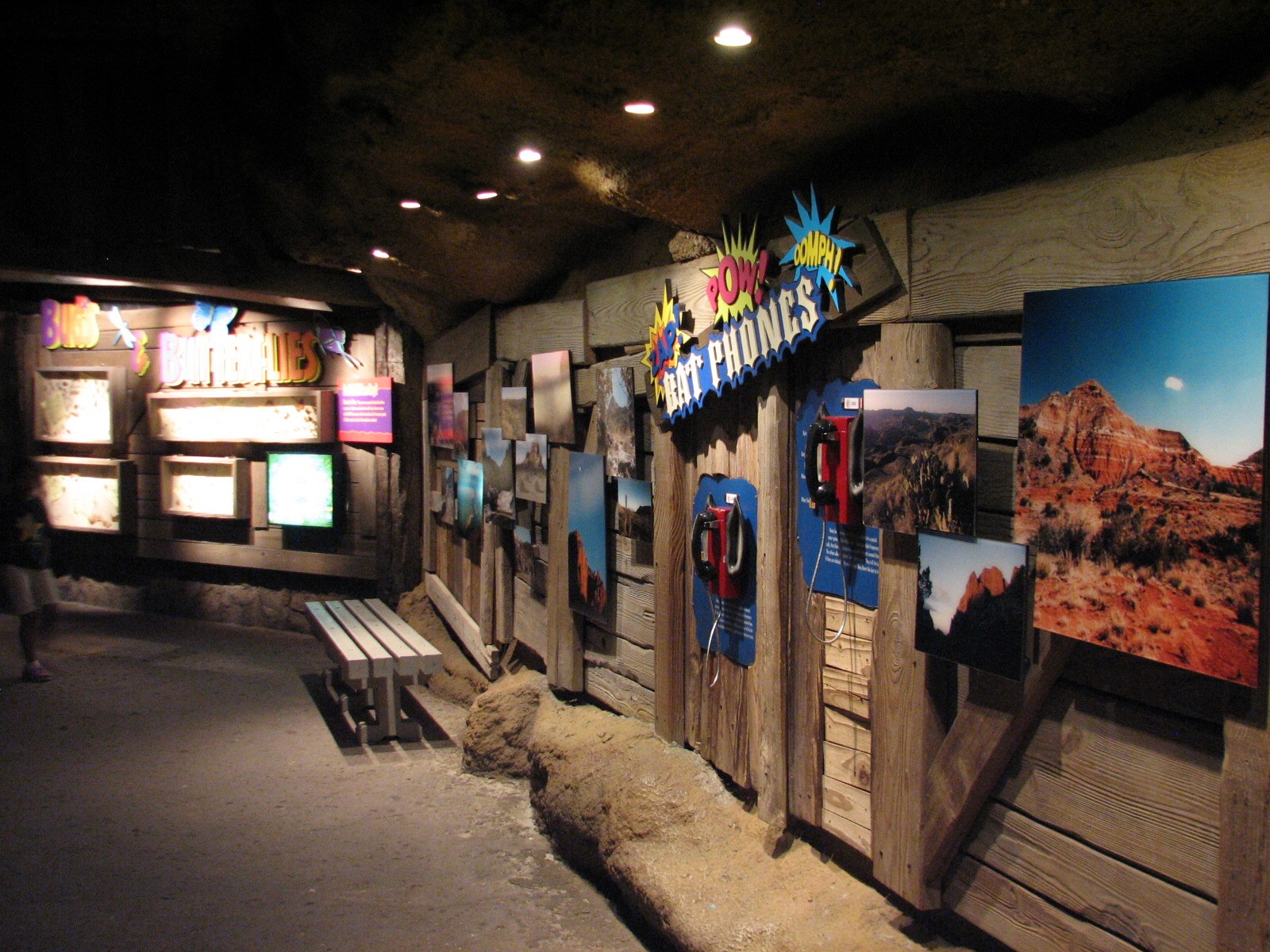 Texas Wild! - Mountains and Desert - Graphics