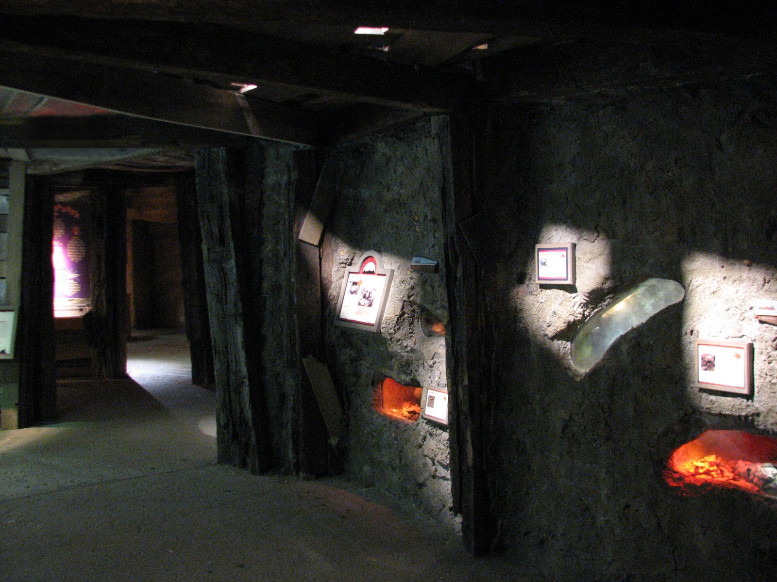 Texas Wild! - Mountains and Desert - Interior Exhibits