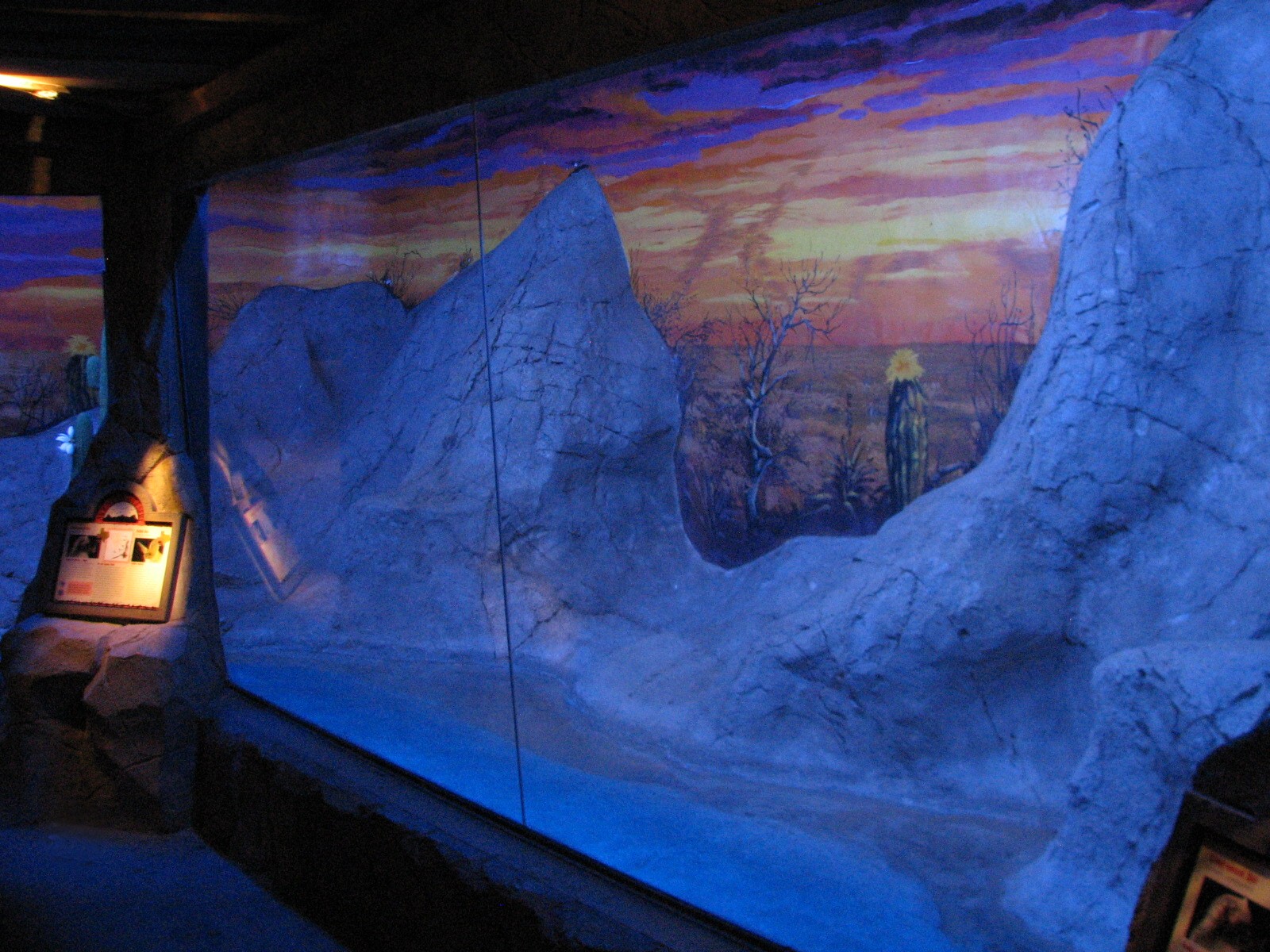 Texas Wild! - Mountains and Desert - Long-nosed and Pallid Bat Exhibit