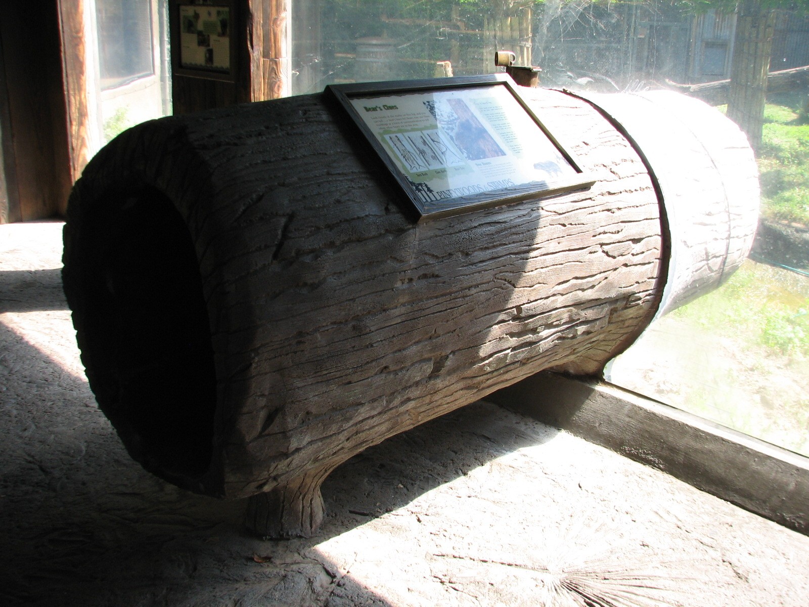 Texas Wild! - Pineywoods and Swamps - Black Bear Exhibit Crawl Log