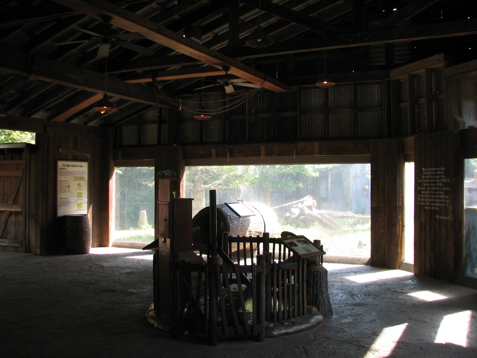 Texas Wild! - Pineywoods and Swamps - Black Bear Exhibit Viewing Area