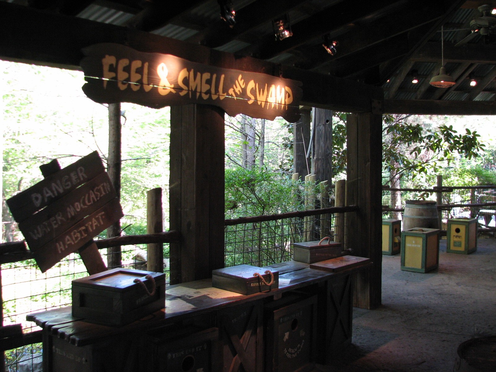 Texas Wild! - Pineywoods and Swamps - Displays