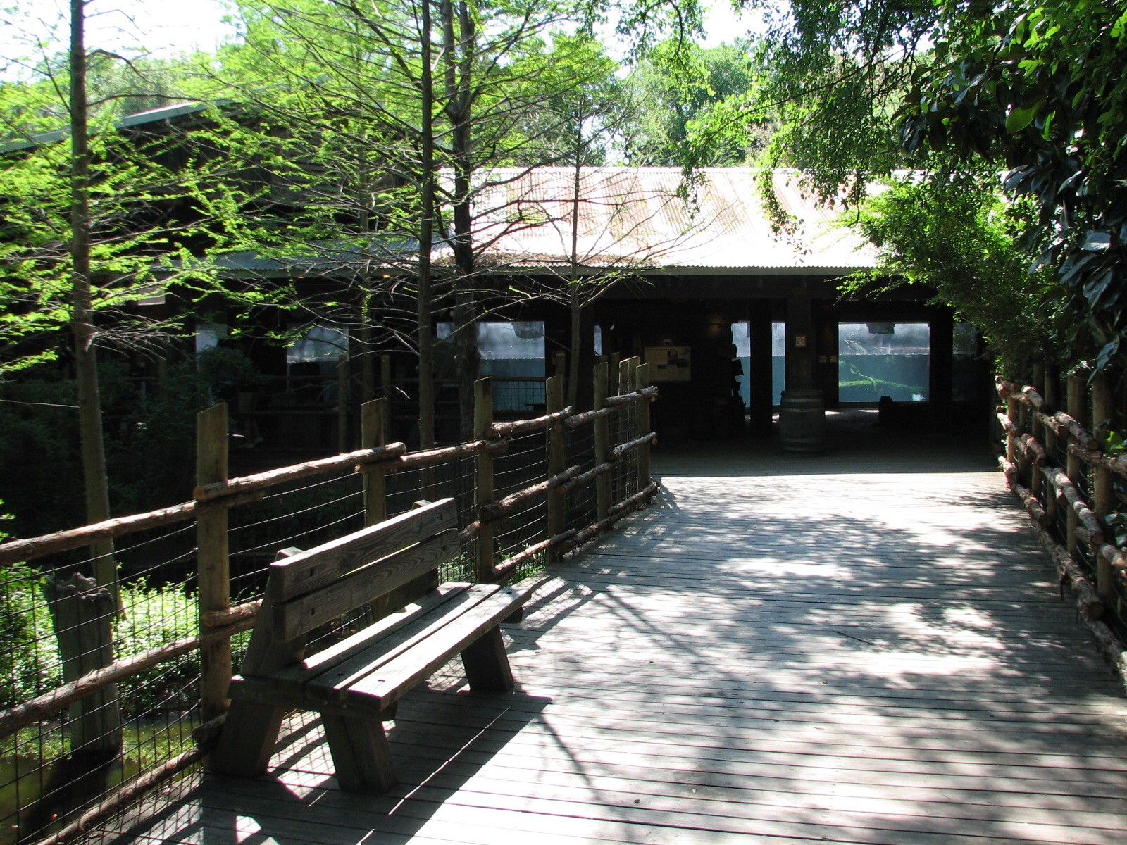 Texas Wild! - Pineywoods and Swamps - Entry