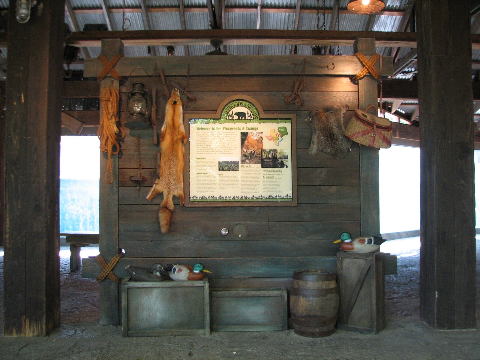 Texas Wild! - Pineywoods and Swamps - Entry