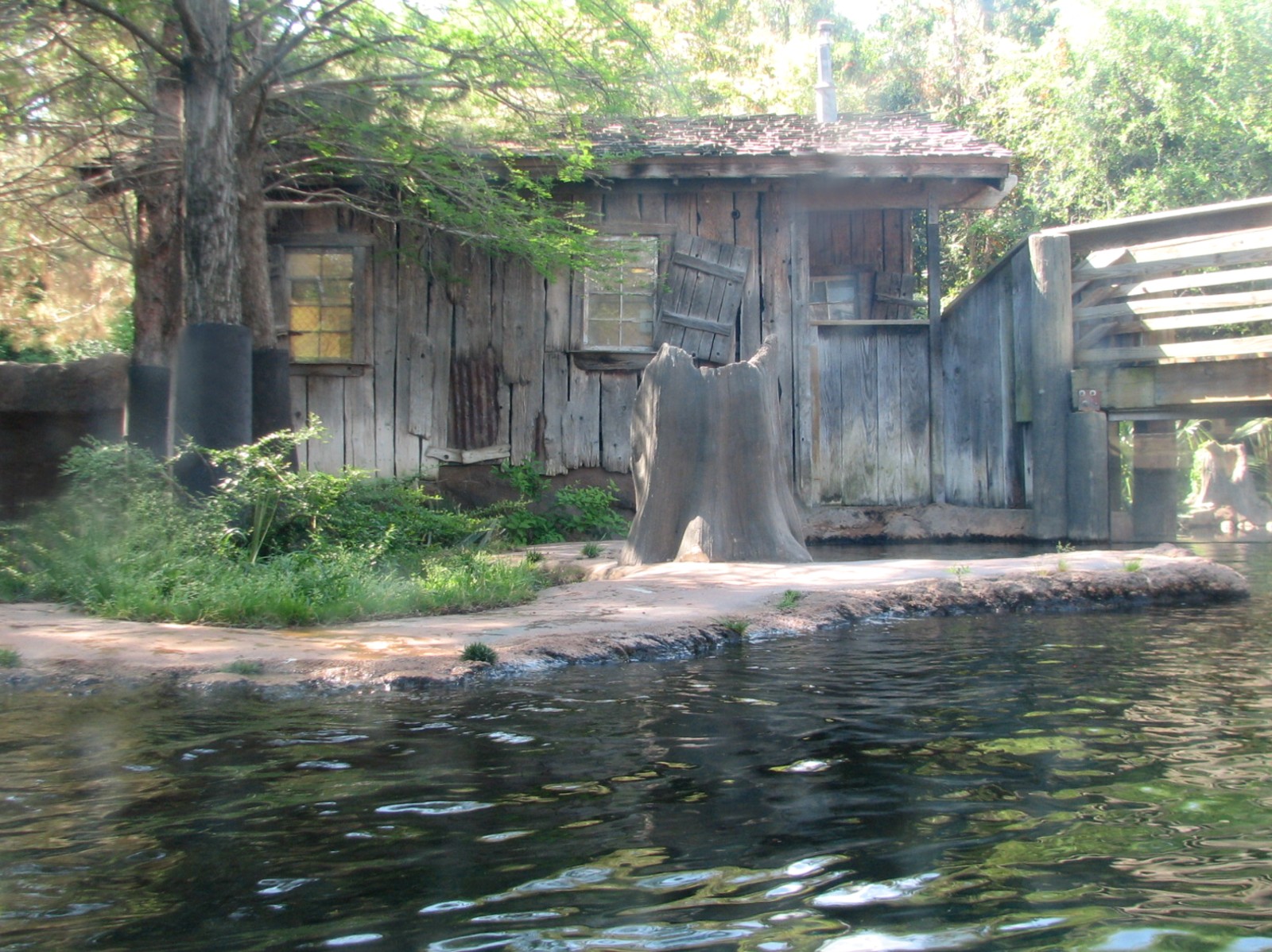 Texas Wild! - Pineywoods and Swamps - River Otter Exhibit
