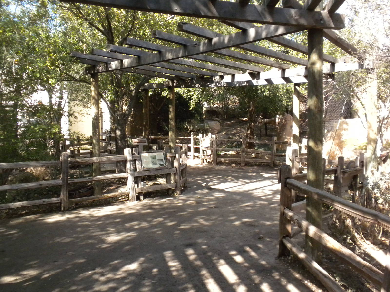 Texas Wild! Predator exhibits