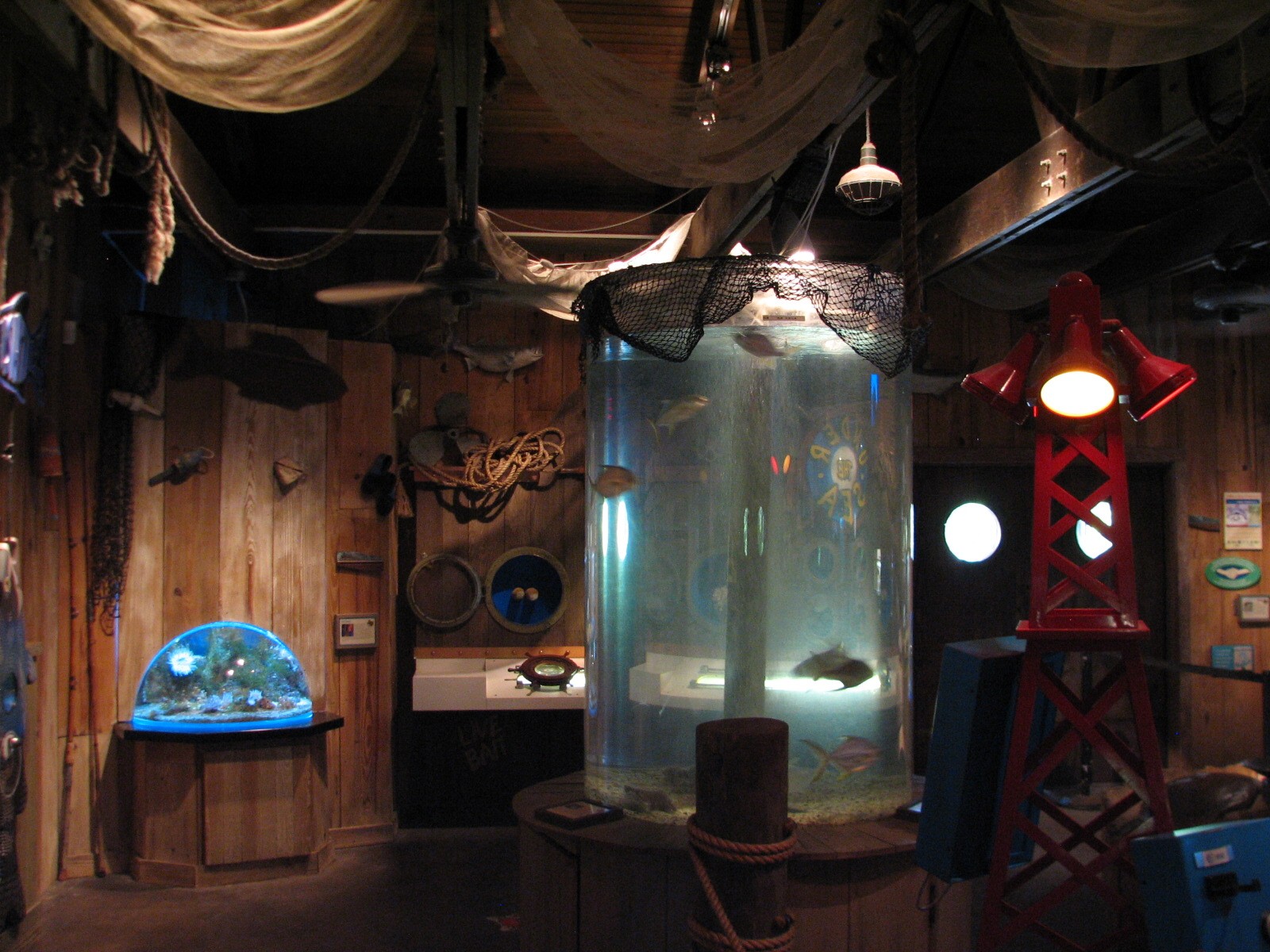 Texas Wild! - Texas Gulf Coast - Aquatic Exhibits Room