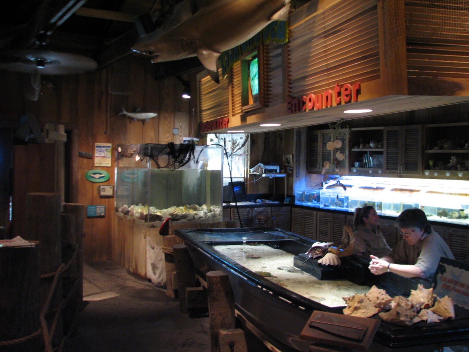 Texas Wild! - Texas Gulf Coast - Aquatic Exhibits Room