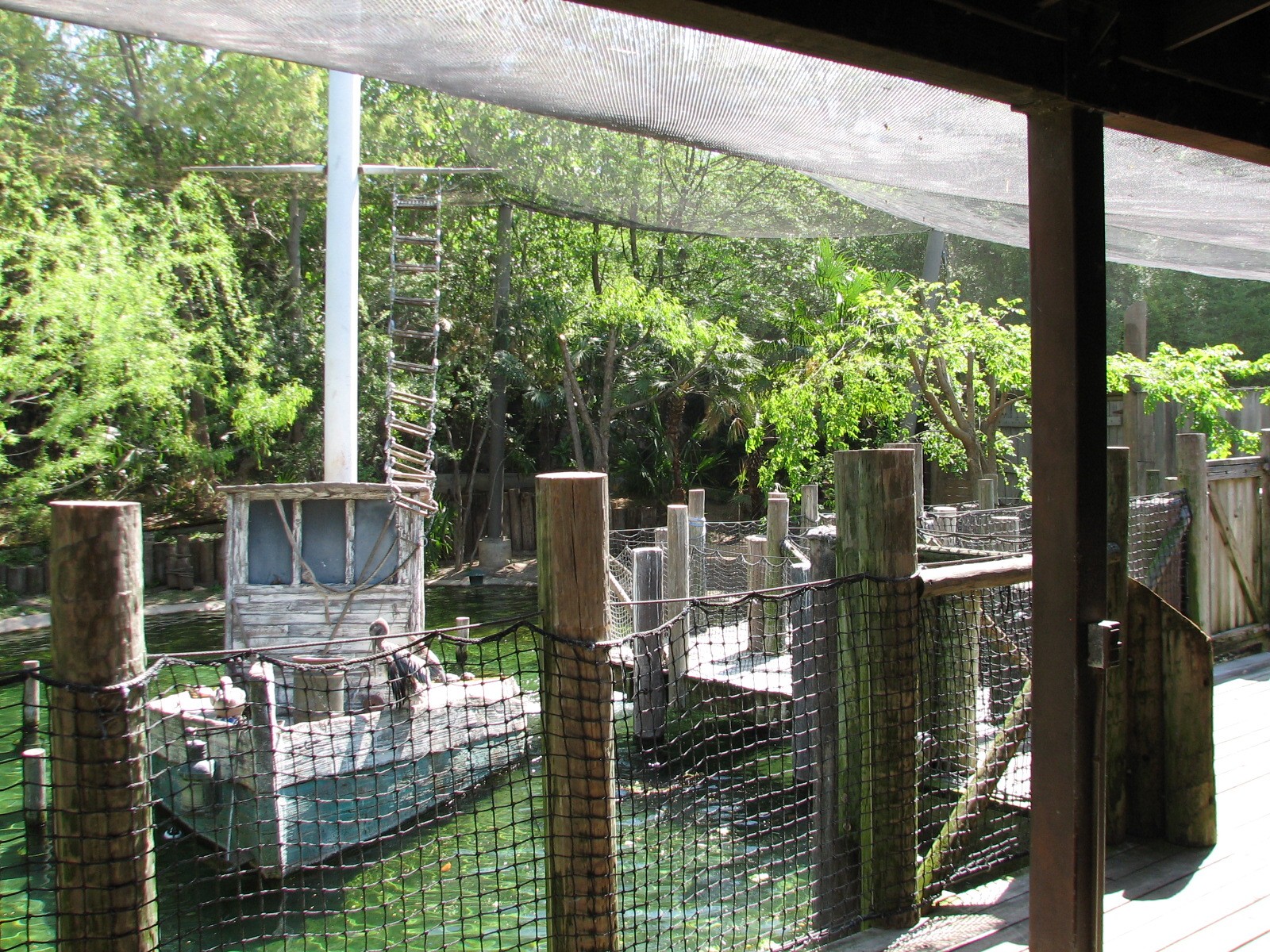 Texas Wild! - Texas Gulf Coast - Aviary Interior