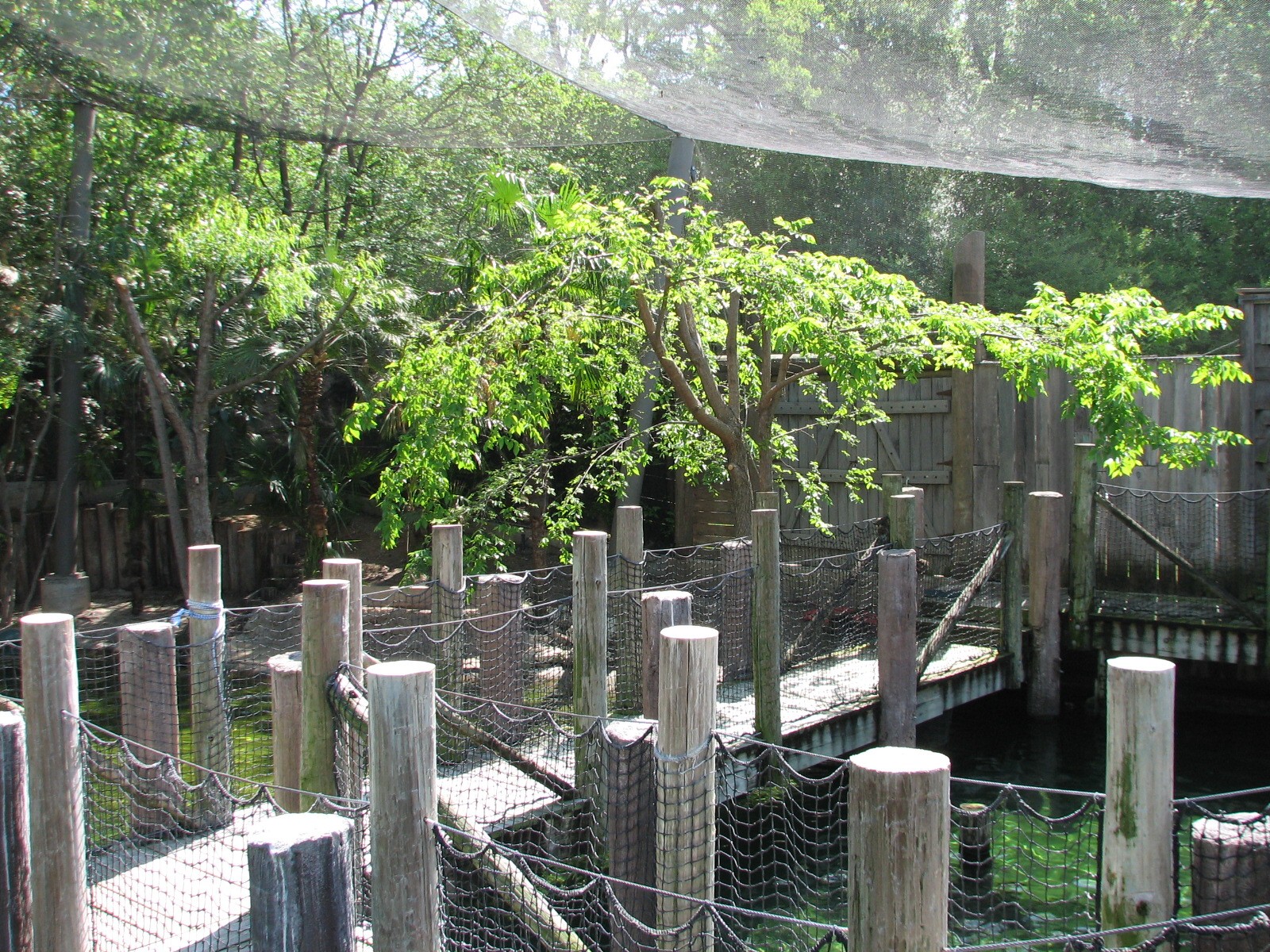 Texas Wild! - Texas Gulf Coast - Aviary Interior