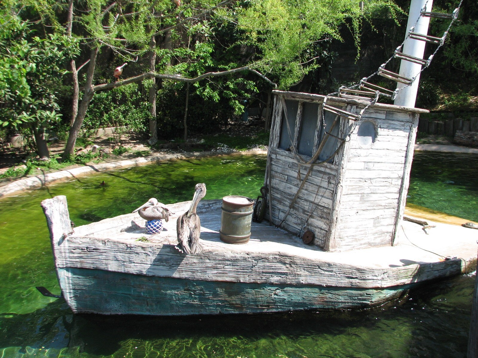 Texas Wild! - Texas Gulf Coast - Shrimp Boat in Aviary