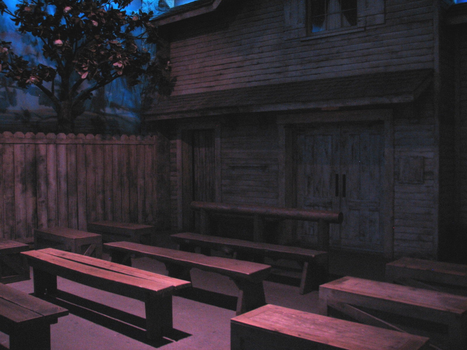 Texas Wild! - Texas Town - Hall of Wonders Theater