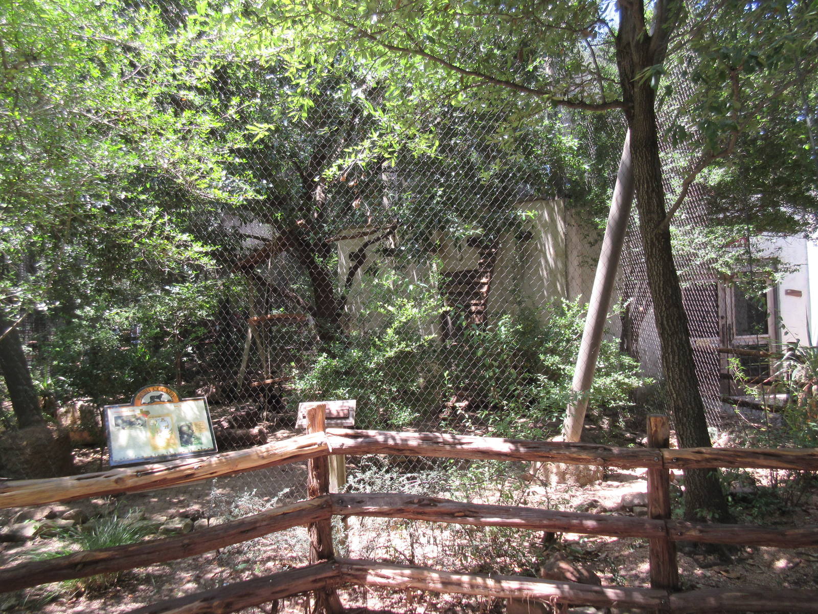 Texas Wild! - White-Nosed Coati Exhibit