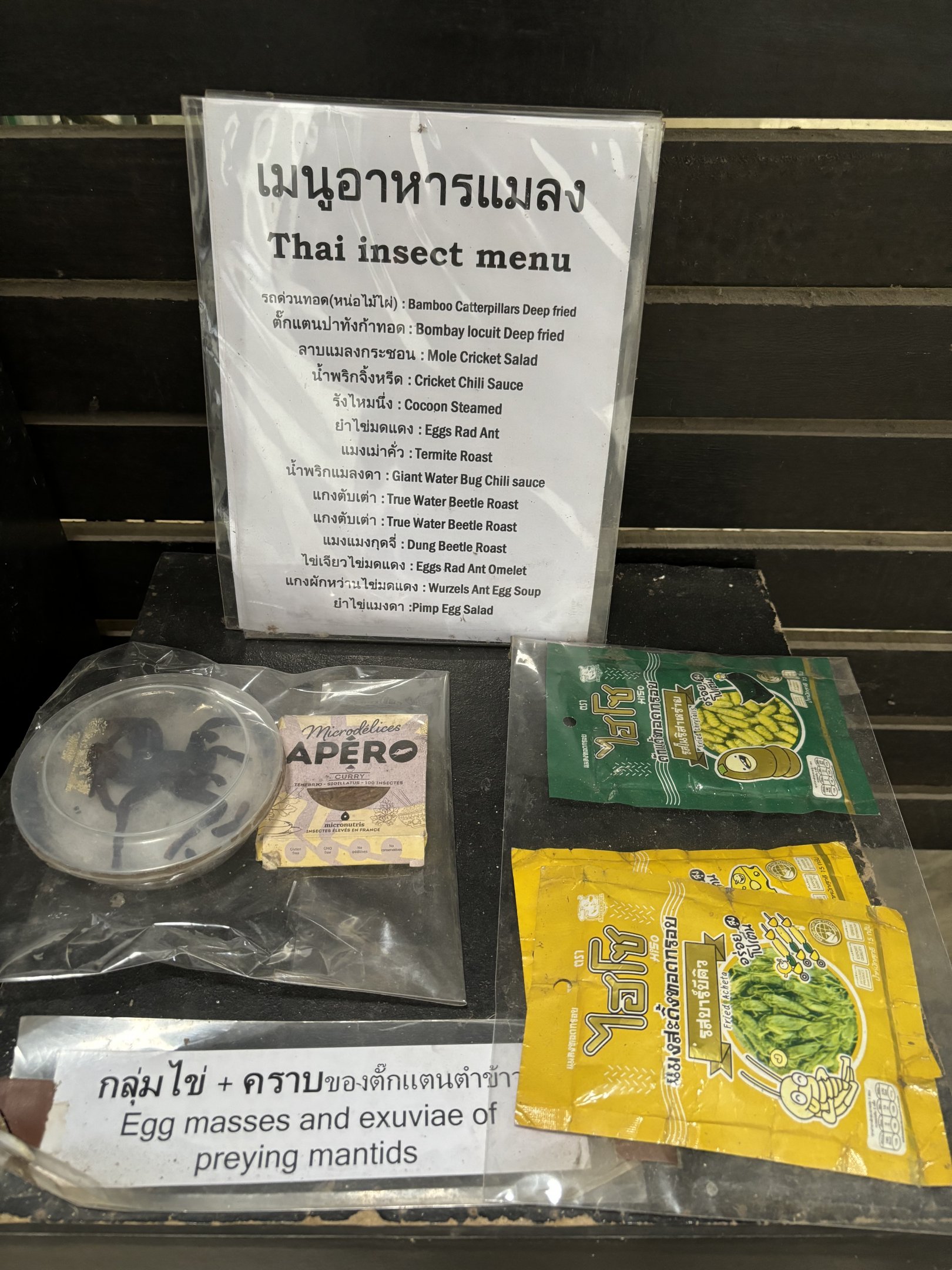 Thai Insect Menu