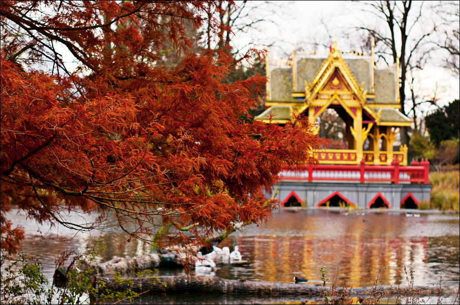 Thai sala at Hamburg