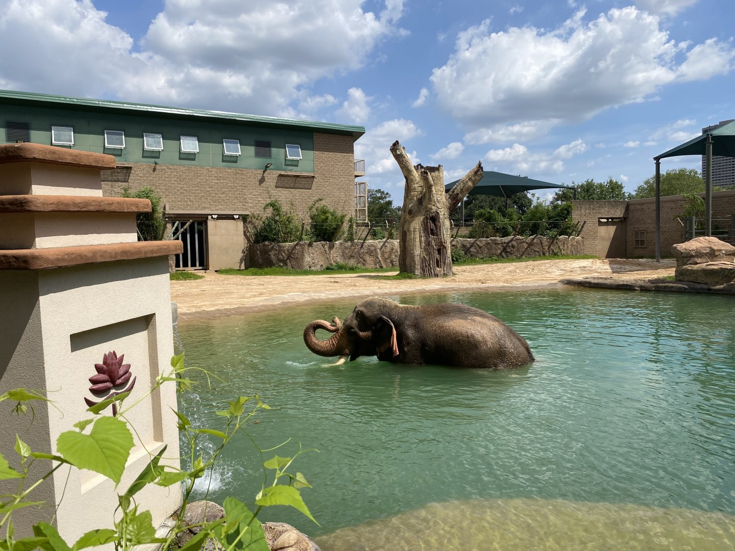 Thailand In The Water