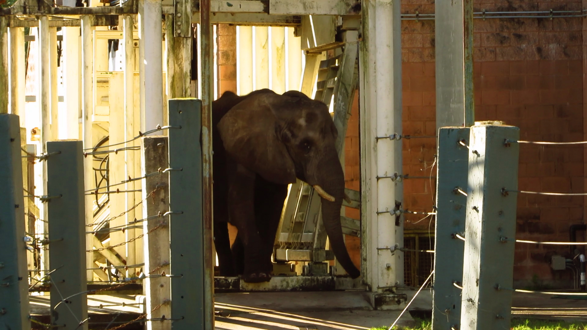 Thandi Passing Through ERD