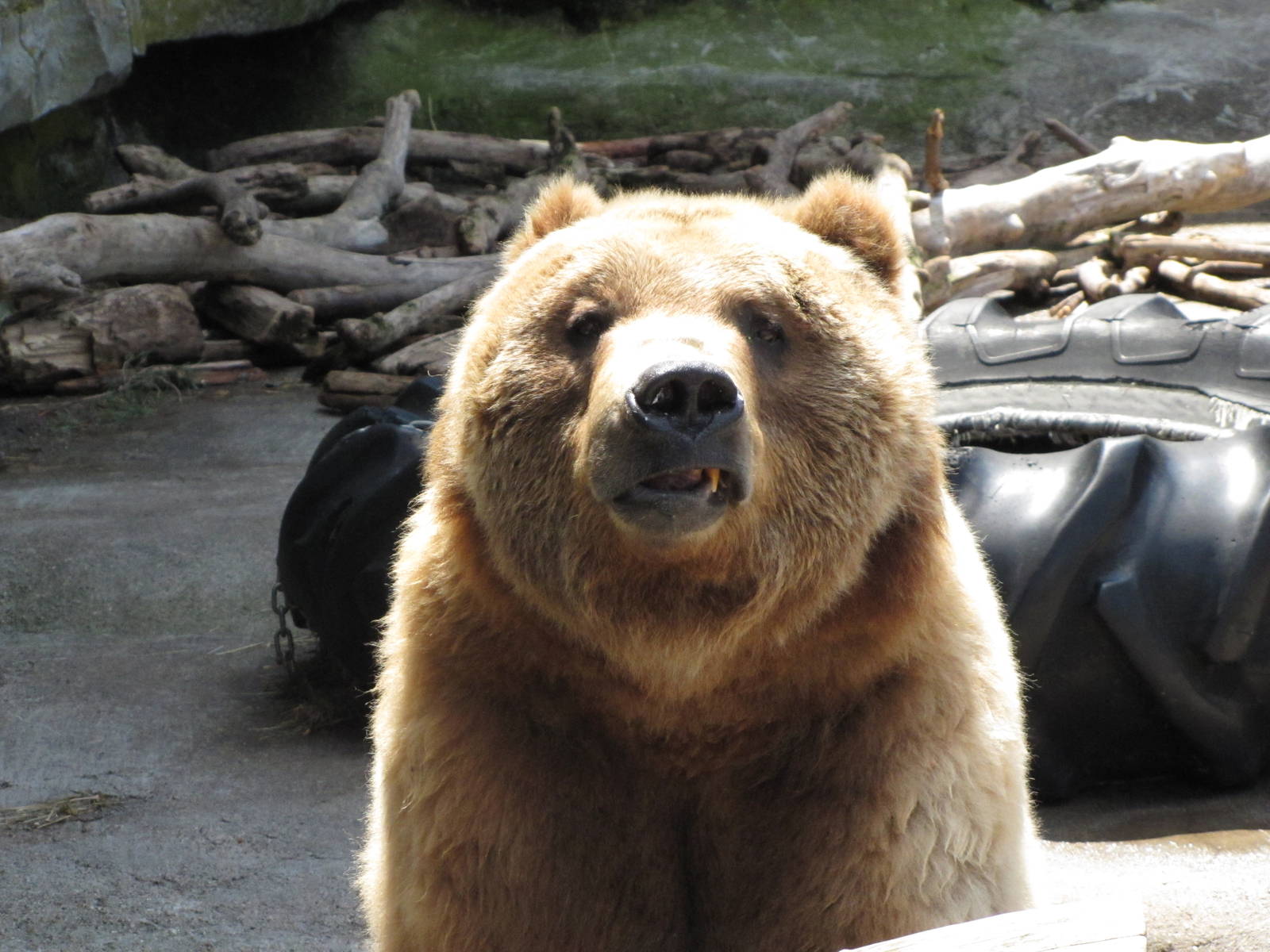 Thank you very much!